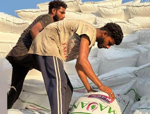 Loaders stacking Majan bags onto a truck.