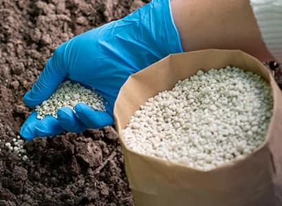 A gloved hand holding NPK granules beside an open bag in soil